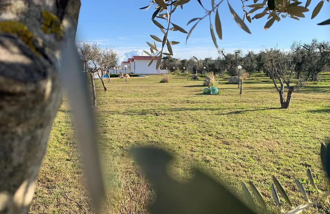Apulia Maris-1